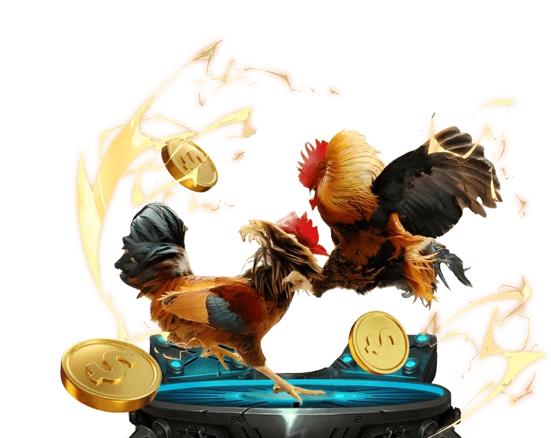 Hỗ trợ khách hàng 24/7