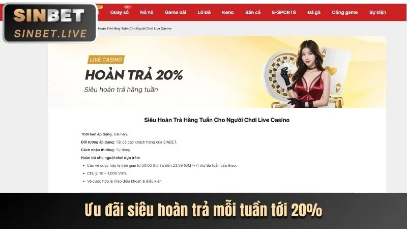 Cấp bậc VIP Đồng Thiên Hạ Casino